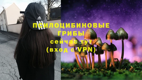соль ск Алексин
