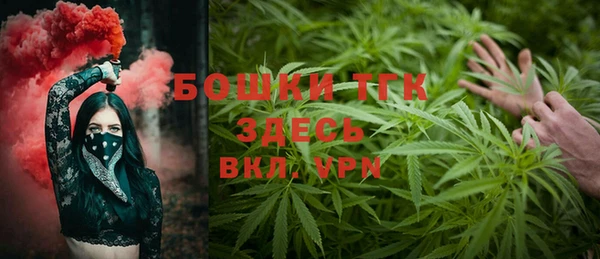 гашик Алексеевка